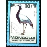 1979 Demoiselle Crane