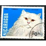 1984 White Longhair 1984 White Longhair