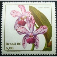 1980 C 1162 Catleya M