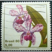 1980 C 1162 Catleya U