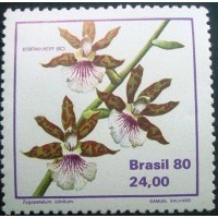 1980 C 1164 Zygopetalum Crinitum M