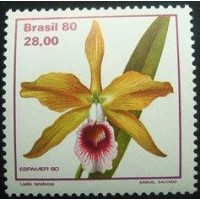 1980 C 1165 Laelia Tenebrosa M