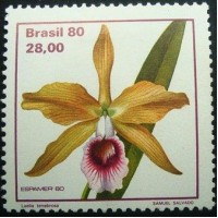 1980 C 1165 Laelia Tenebrosa N