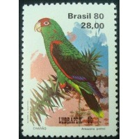 1980 C 1168 Charão N