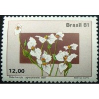 1981 C 1218 Dalechampia M