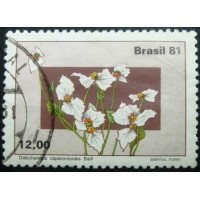 1981 C 1218 Dalechampia U