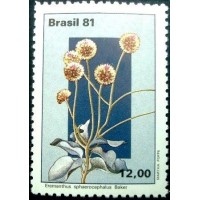 1981 C 1220 Eremanthus M