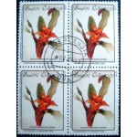 1992 BR C 1805 Nidularium Innocenti U QD
