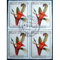 1992 BR C 1805 Nidularium Innocenti U QD