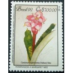 1992 C 1808 Canistrum Cyathiforme M 1992 C 1808 Canistrum Cyathiforme M
