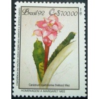 1992 C 1808 Canistrum Cyathiforme M