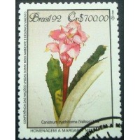 1992 C 1808 Canistrum Cyathiforme NCC