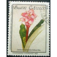 1992 C 1808 Canistrum Cyathiforme U