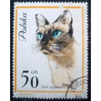 1964 Siamese Cat