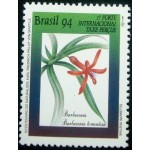 1994 C 1892 Barbacenia tomentosa M 1994 C 1892 Barbacenia tomentosa M