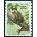 1994 C 1894 Macaco Bigodeiro M