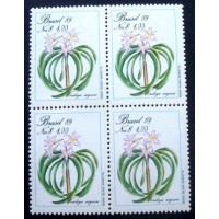 1989 BR C 1632 Worsleya rayneri M QD