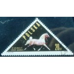 1963 Arab Stallion Comet