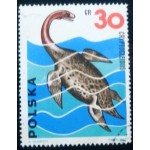 1965 Cryptocleidus