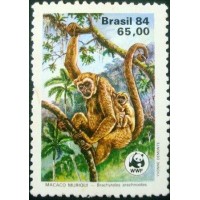 1984 Macaco Muriqui