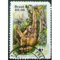 1984 Macaco Muriqui