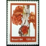 1984 C 1418 Picnoporus Sanguineus M 1984 C 1418 Picnoporus Sanguineus M