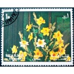 1972 AE SH 1219 Daffodils A NCC