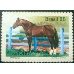 1985 C 1444 Campolina N 1985 C 1444 Campolina N
