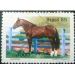 1985 C 1444 Campolina U 1985 C 1444 Campolina U