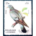 1972 AE SH 1037 Stock Dove NCC