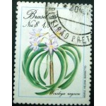 1989 C 1632 Worsleya rayneri U