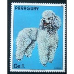 1984 Poodle 1984 Poodle