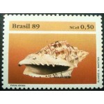 1989 C 1645 Voluta Abraeu N 1989 C 1645 Voluta Abraeu N