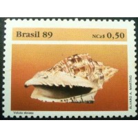 1989 Voluta Abraeu