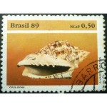 1989 C 1645 Voluta Abraeu U 1989 C 1645 Voluta Abraeu U
