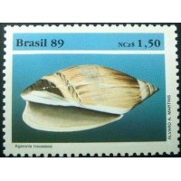 1989 Agaronia Travassosi