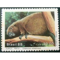 1988 Ouriço Preto