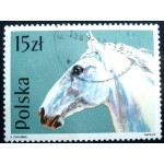 1989 Lippizan