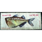 1988 C 1608 Borboleta M 1988 C 1608 Borboleta M