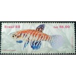 1988 C 1611 Cynolebia M 1988 C 1611 Cynolebia M