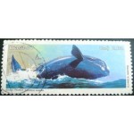 1987 C 1550 Baleia Franca U