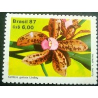 1987 Cattleya guttata