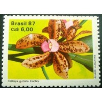 1987 Cattleya guttata