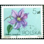 1984 Clematis lanuginosa
