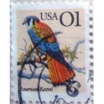 1991 US American Kestrel U 1991 US American Kestrel U