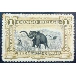 1915 African Elephant
