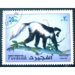 1972 Mantled Guereza 1972 Mantled Guereza