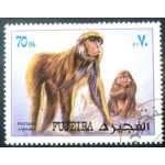1972 Monkeys