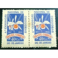 1946 C 0224 Orquídeas M PR
