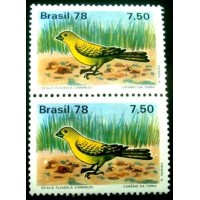 1978 C 1036 Canário da terra M PR